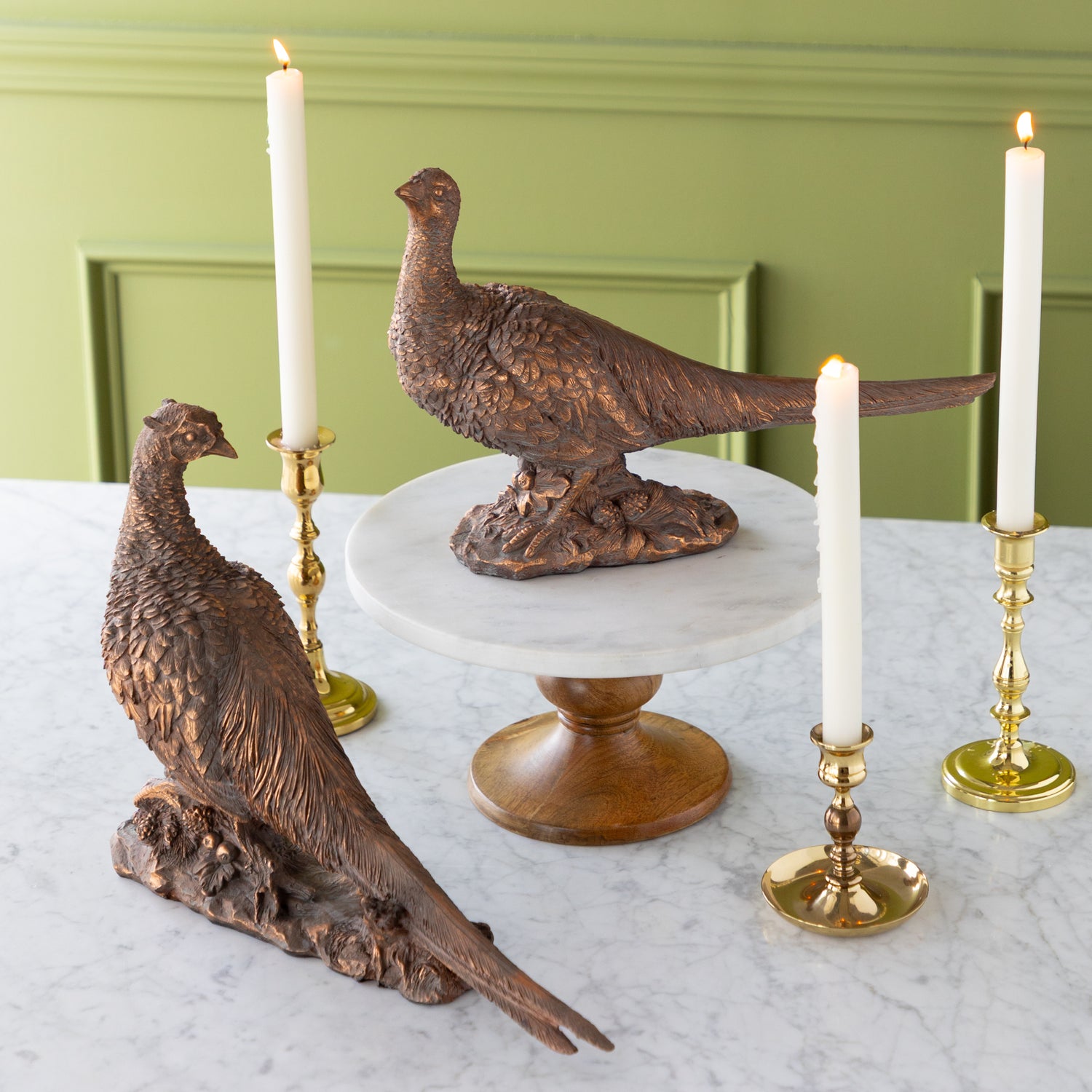 Bronze Pheasant