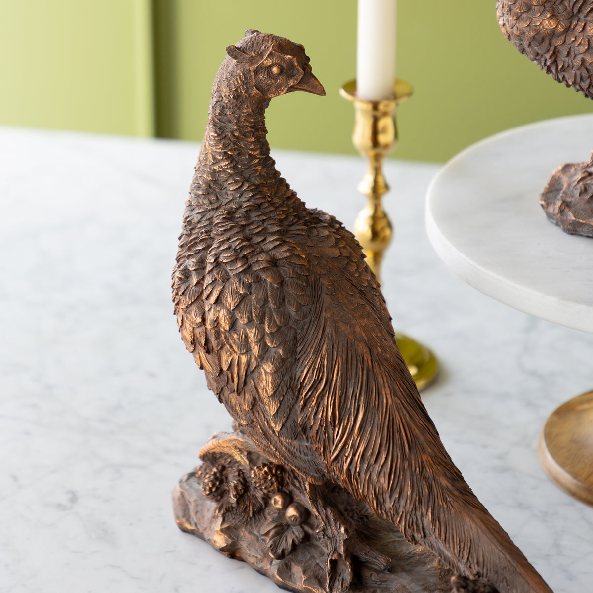 Bronze Pheasant
