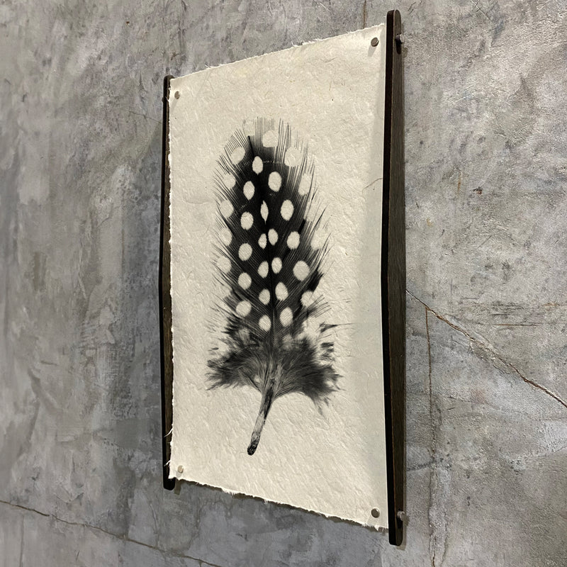 Feather with black and white pattern art print hanging on a textured wall. 