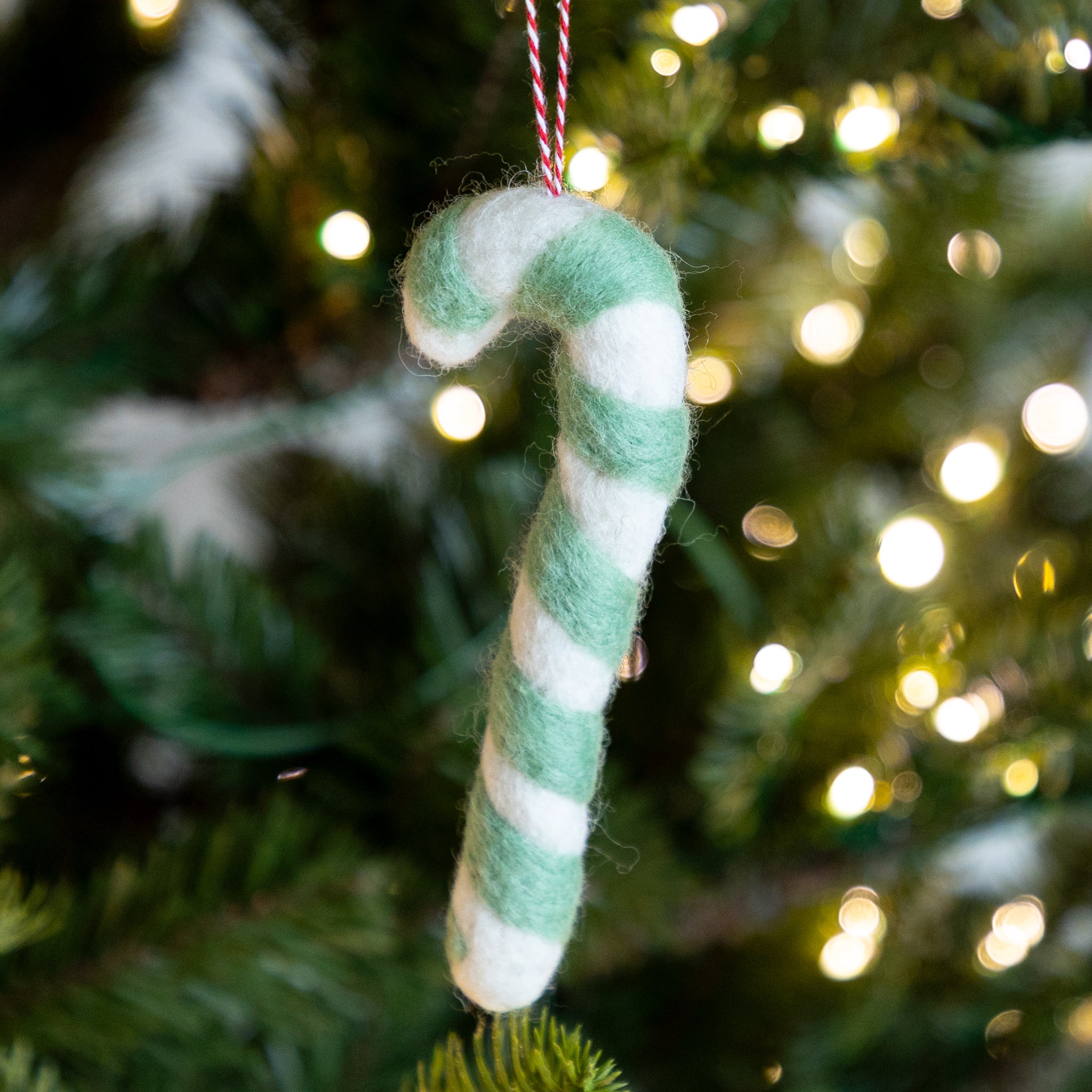 Seafoam and white candy cane ornament on a Christmas tree with lights in the background