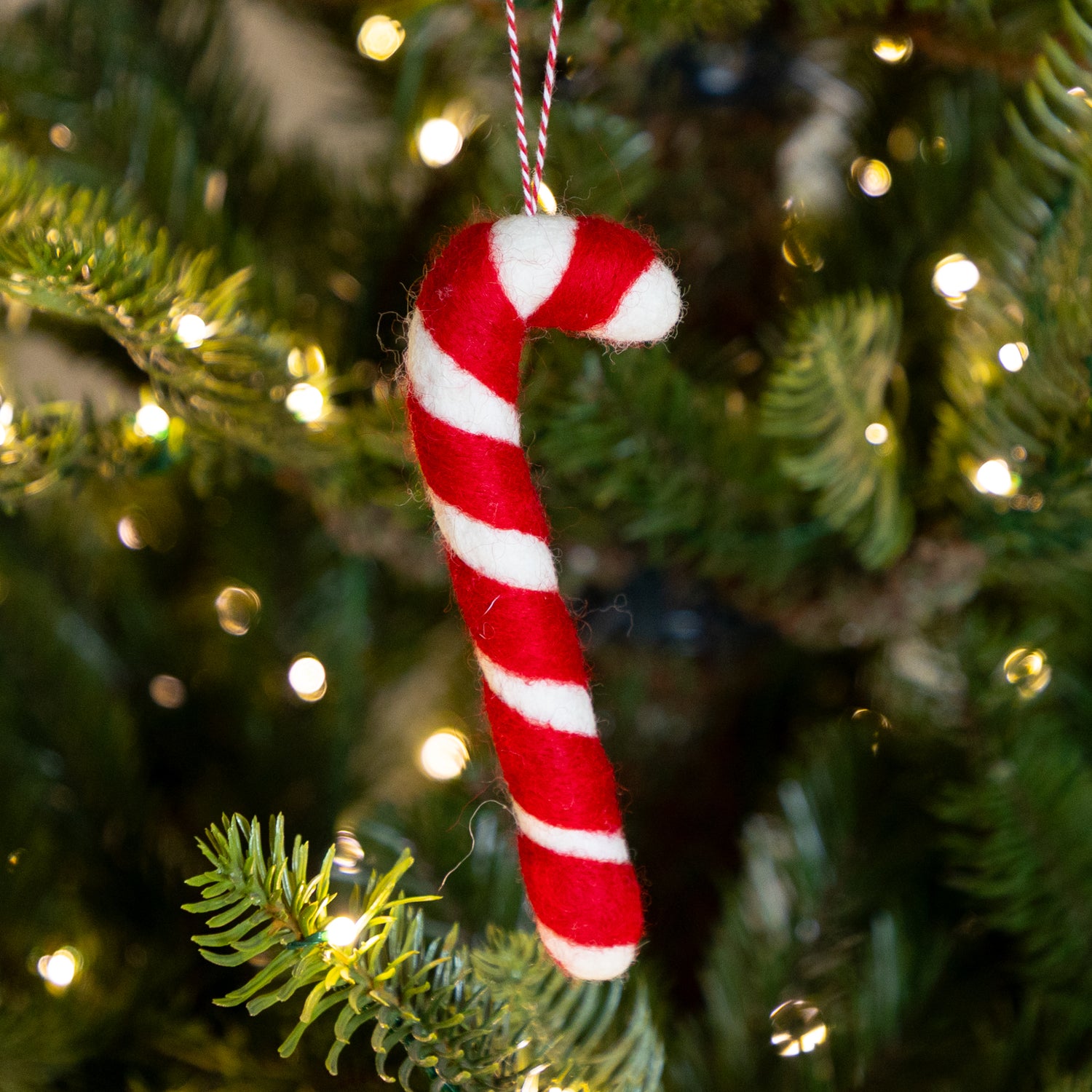 Red and white felt striped candy cane ornament on a Christmas tree with lights.