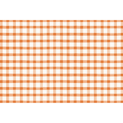 Orange Painted Check Placemat
