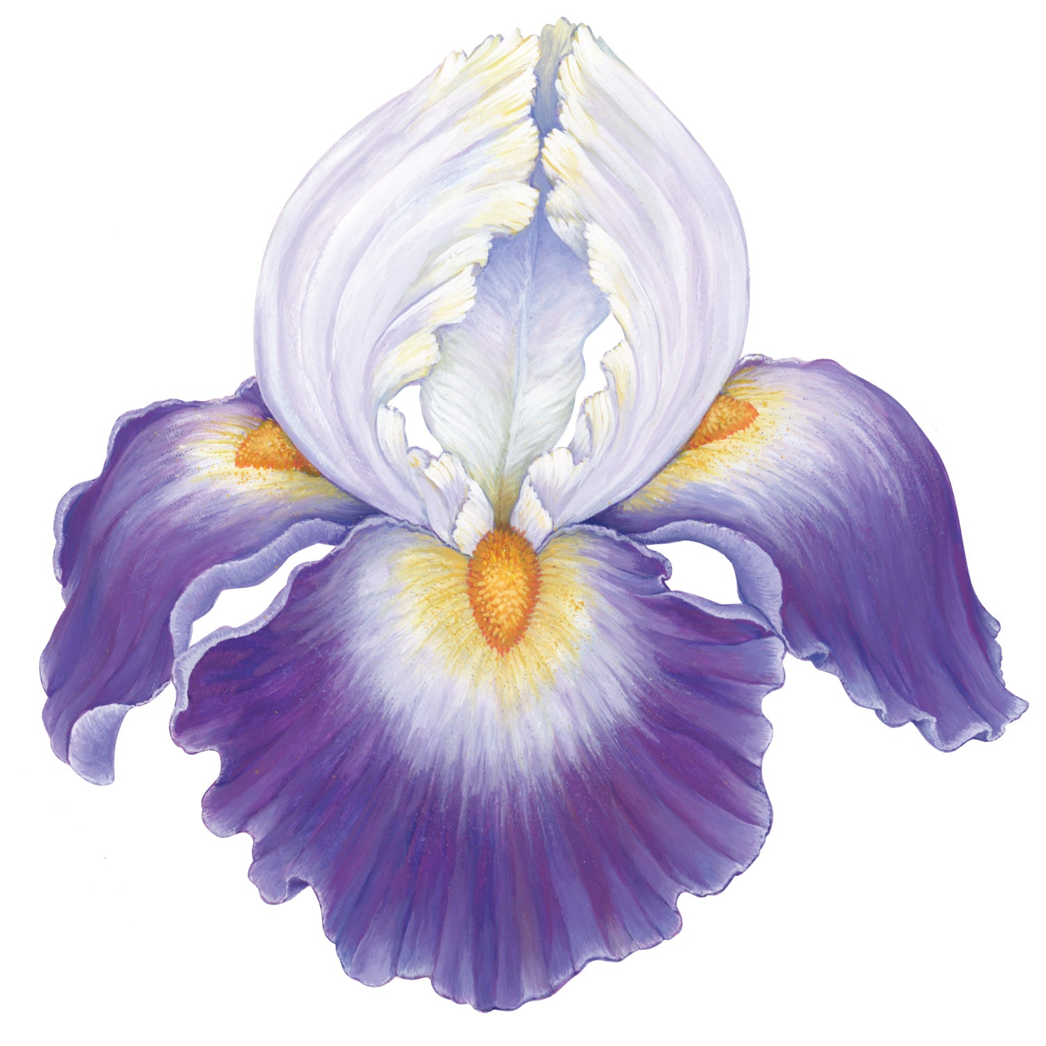 A die-cut illustrated iris bloom, in deep purple and white with a yellow center.