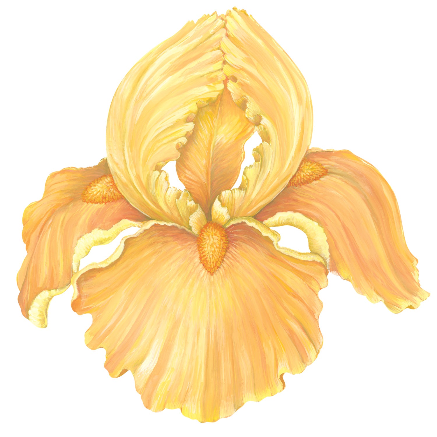 A die-cut illustrated iris bloom, in bright yellow.