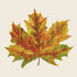 Illustration of a single maple leaf showing autumn colors, with shades of yellow, orange, green, and red on a cream background.