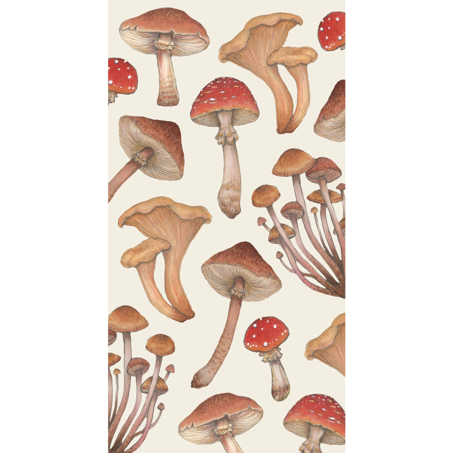 An illustration of various mushrooms, including red-capped and brown-capped varieties, arranged on a cream background.
