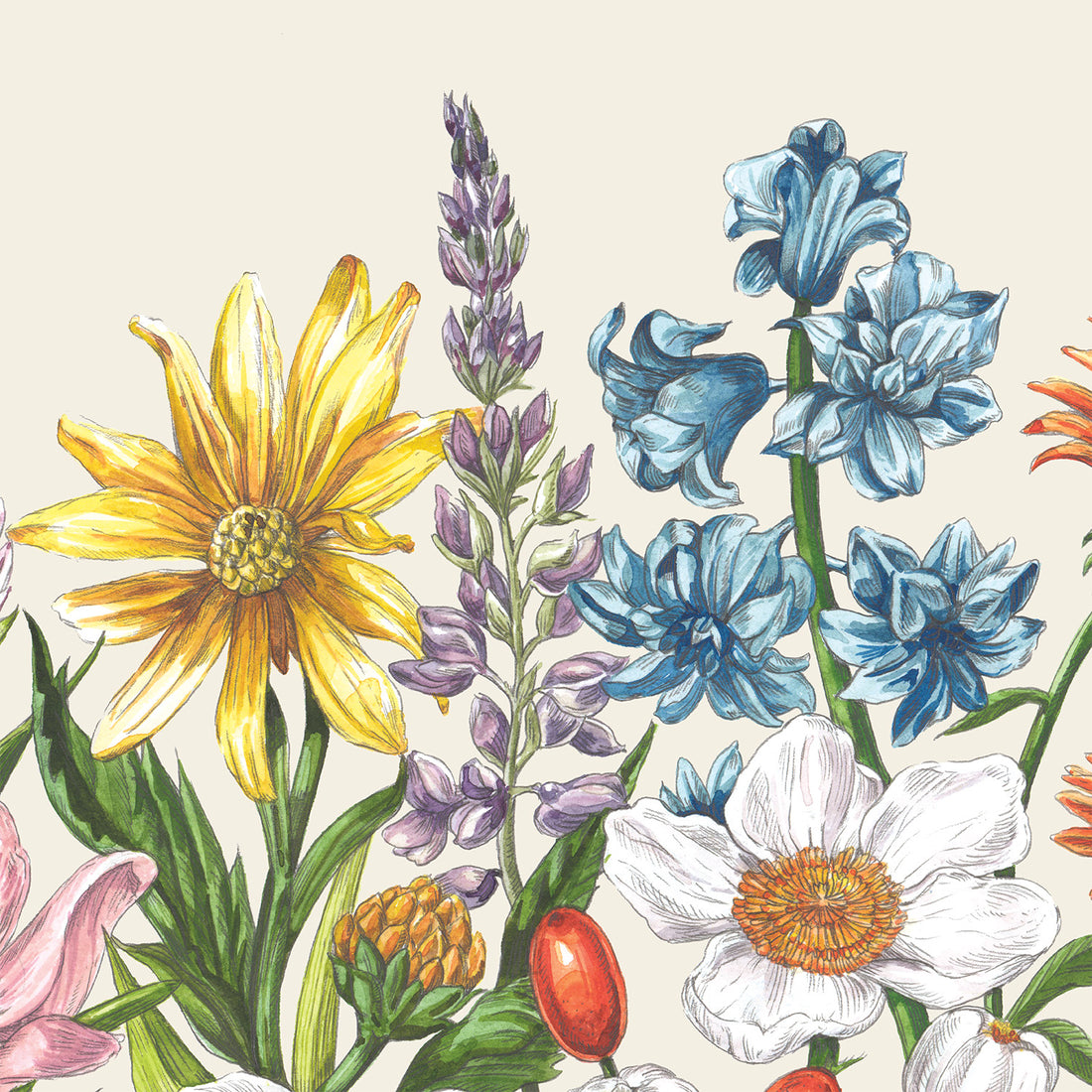 Colorful illustration of various flowers on a beige background.