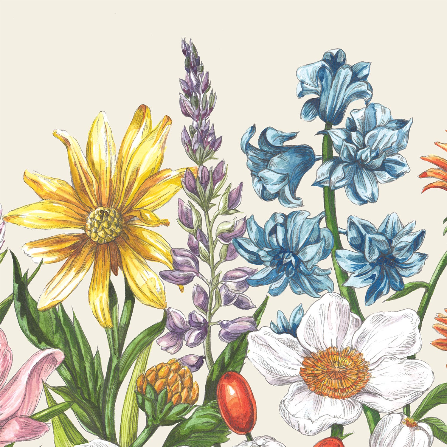 Colorful illustration of various flowers on a beige background.