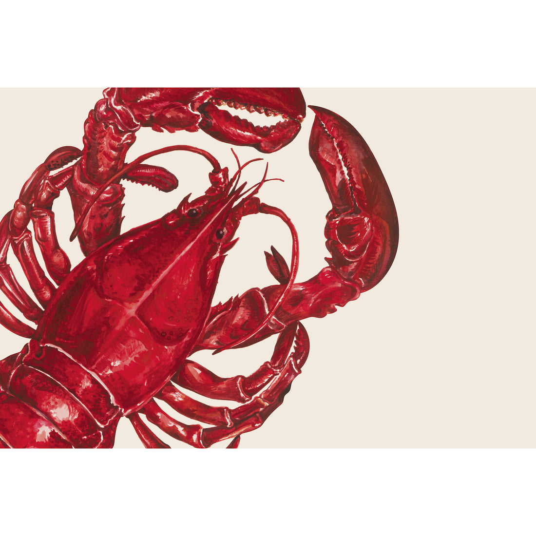 A painted illustration of a large, red lobster&