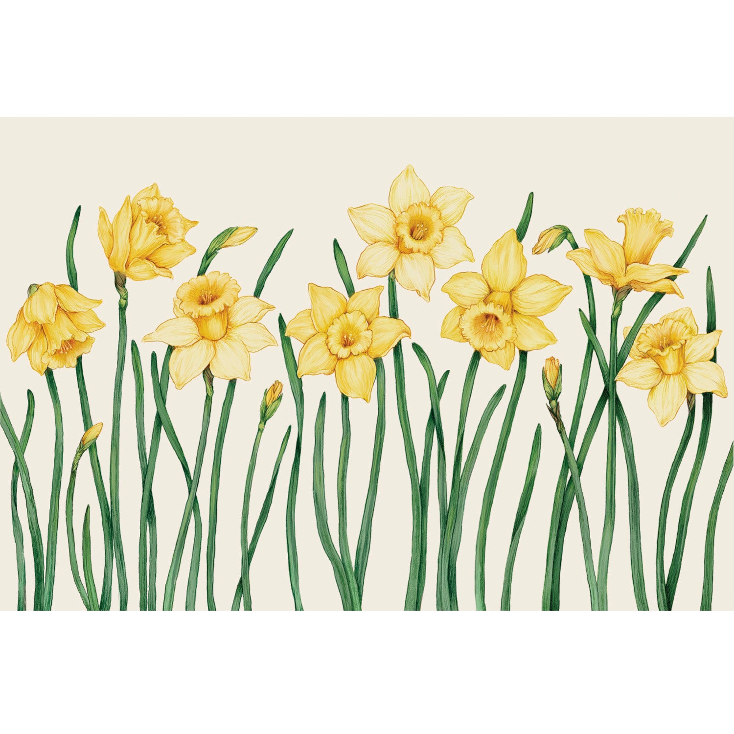 Field of Daffodils Placemat featuring Daffodils on a cream background.