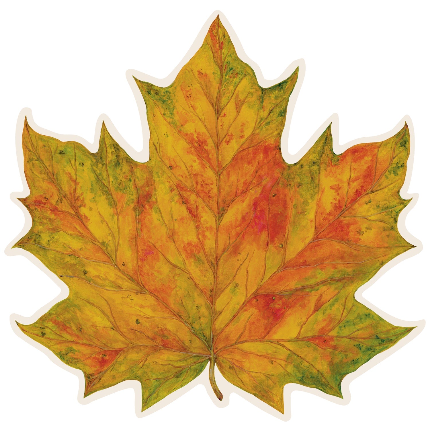 Illustration of a single maple leaf showing autumn colors, with shades of yellow, orange, green, and red.