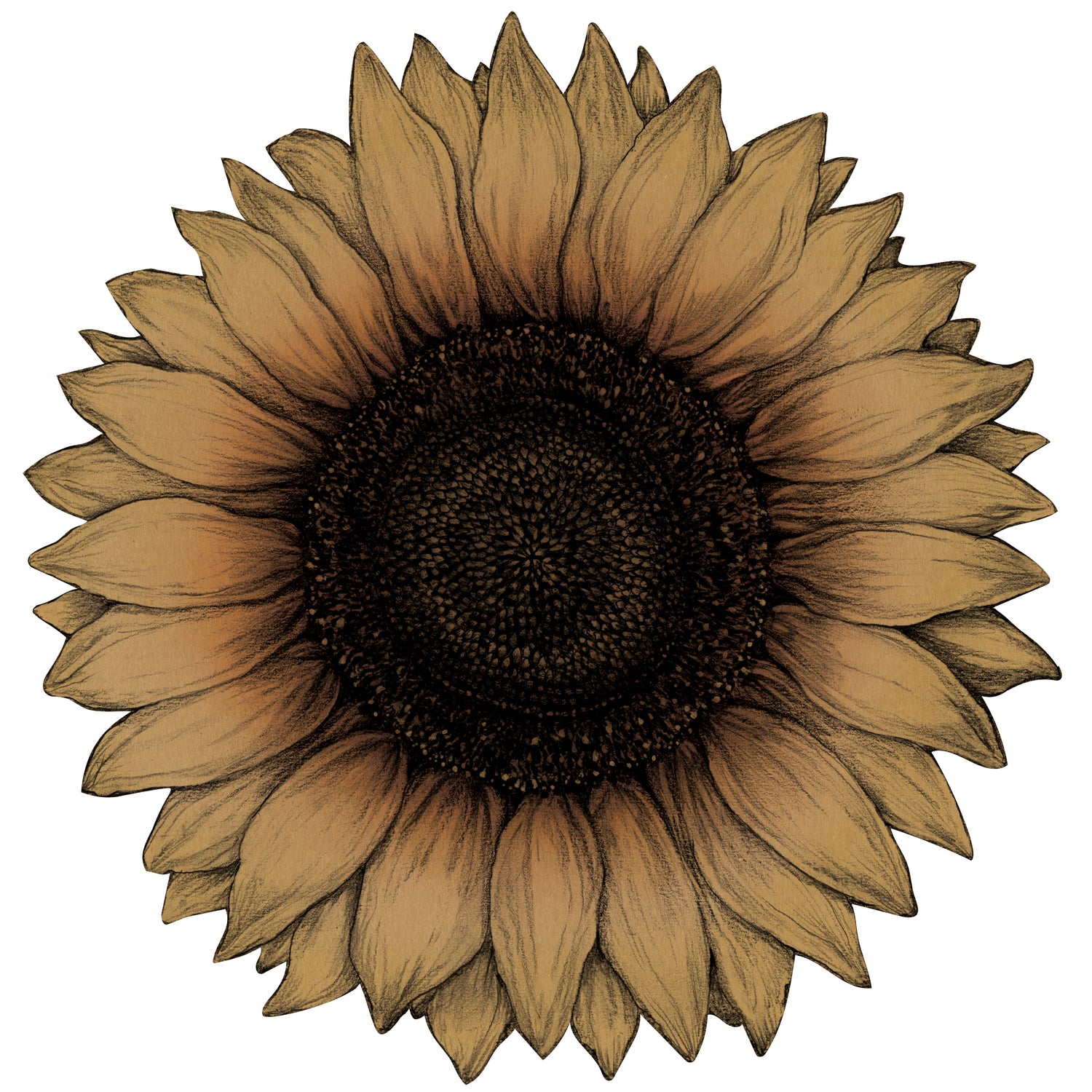 Die-cut Vintage Sunflower Placemat featuring an illustration of a sunflower in autumn hues.