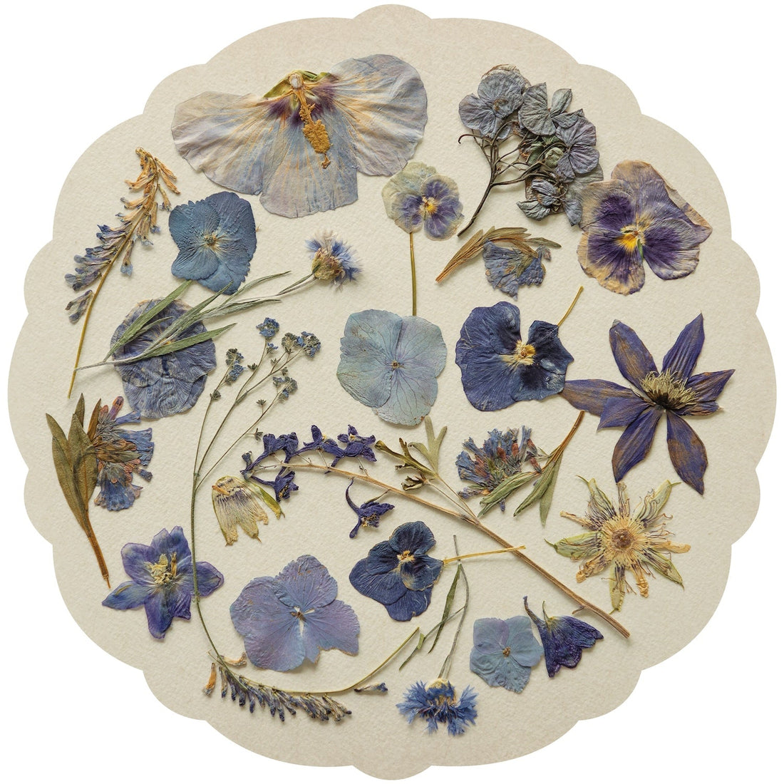 Pressed flowers and herbs arranged on a circular beige mat with a scalloped edge.