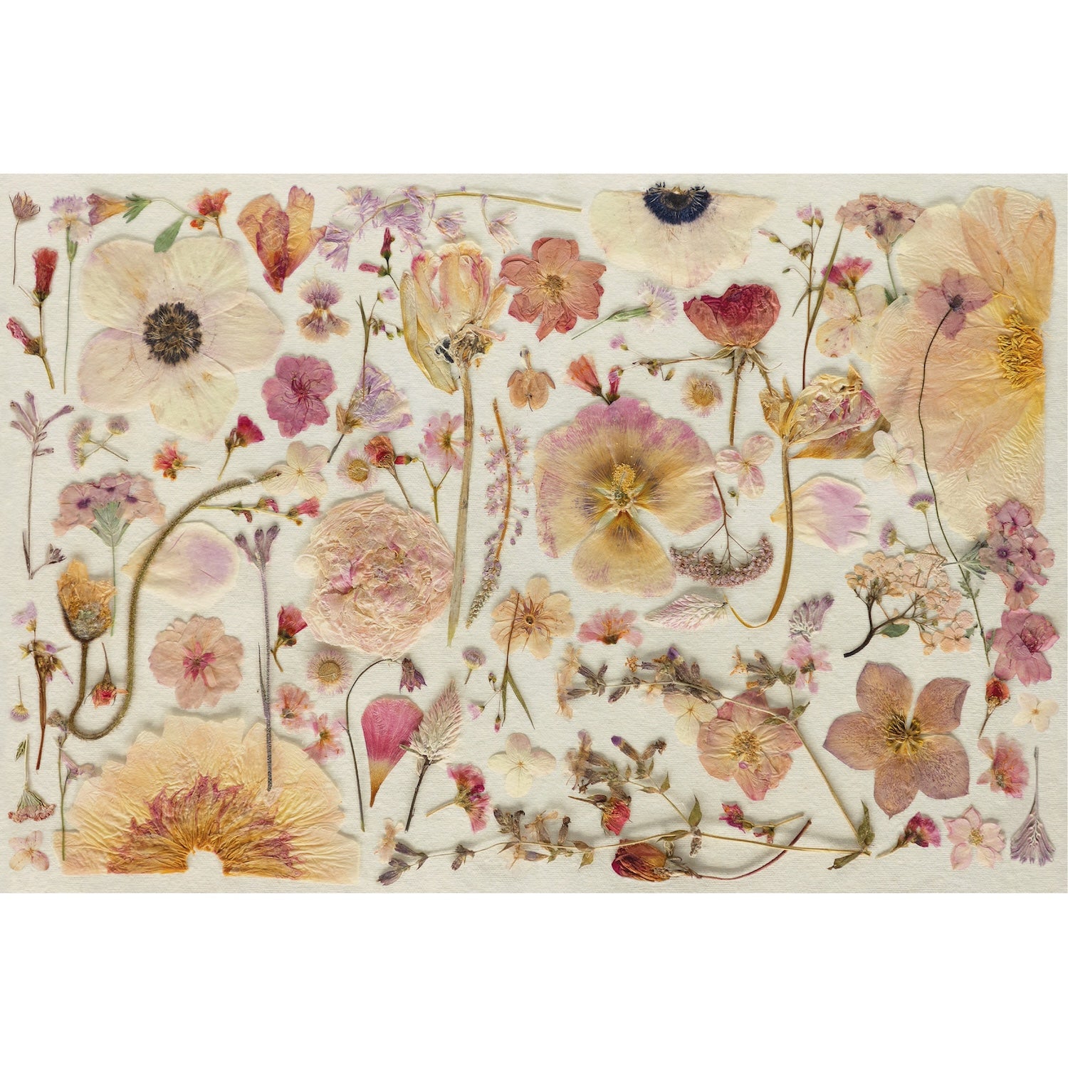 Decorative placemat with pressed flowers on a white background.