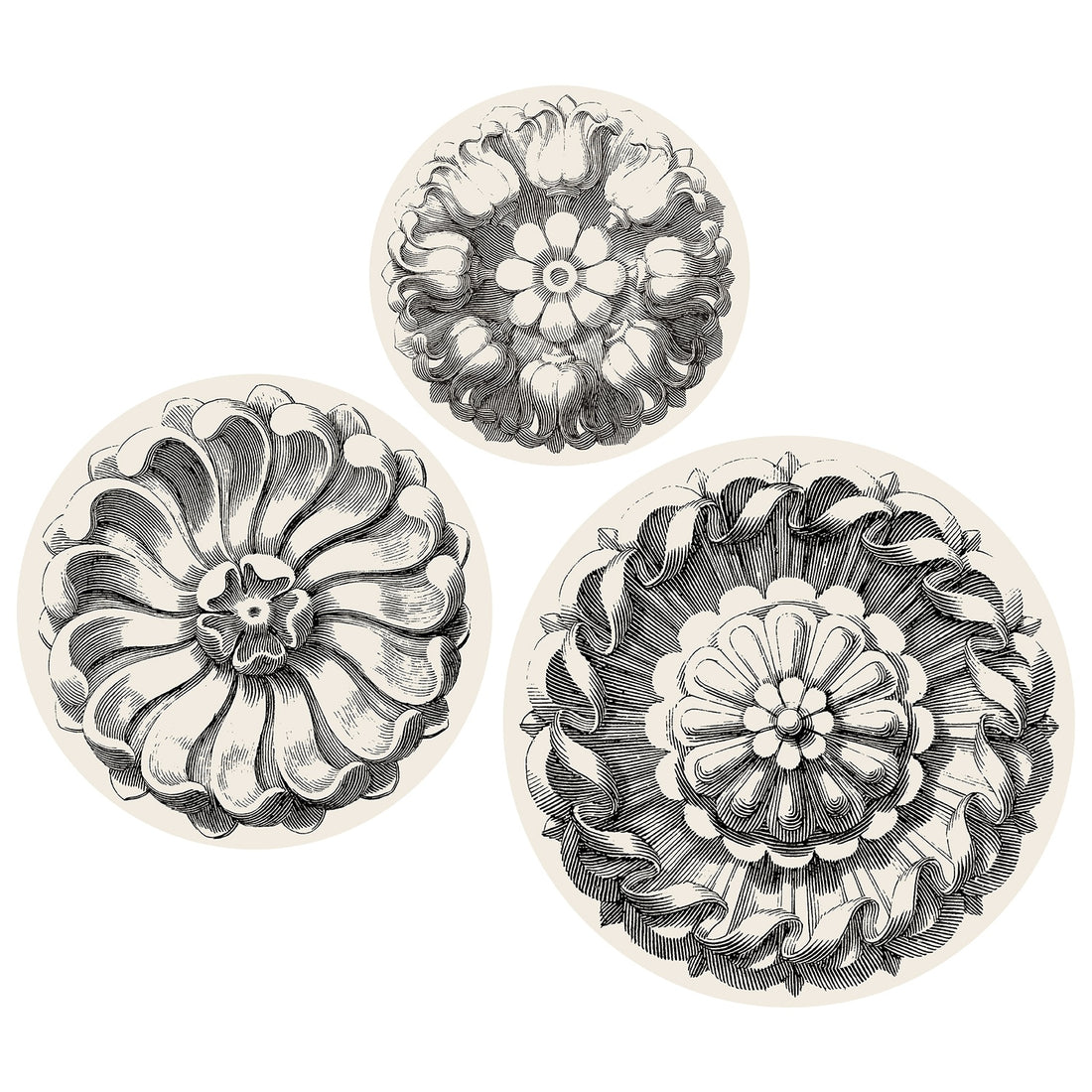 A black and white drawing of a flower on Hester &amp; Cook Rosette Serving Papers with a plain white background.