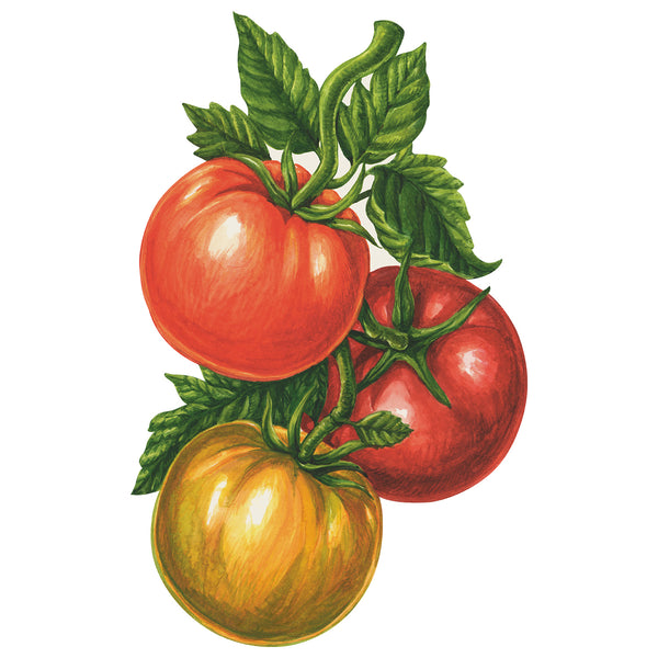 家具 tomato KP3023_grande.jpg?v=1733255147