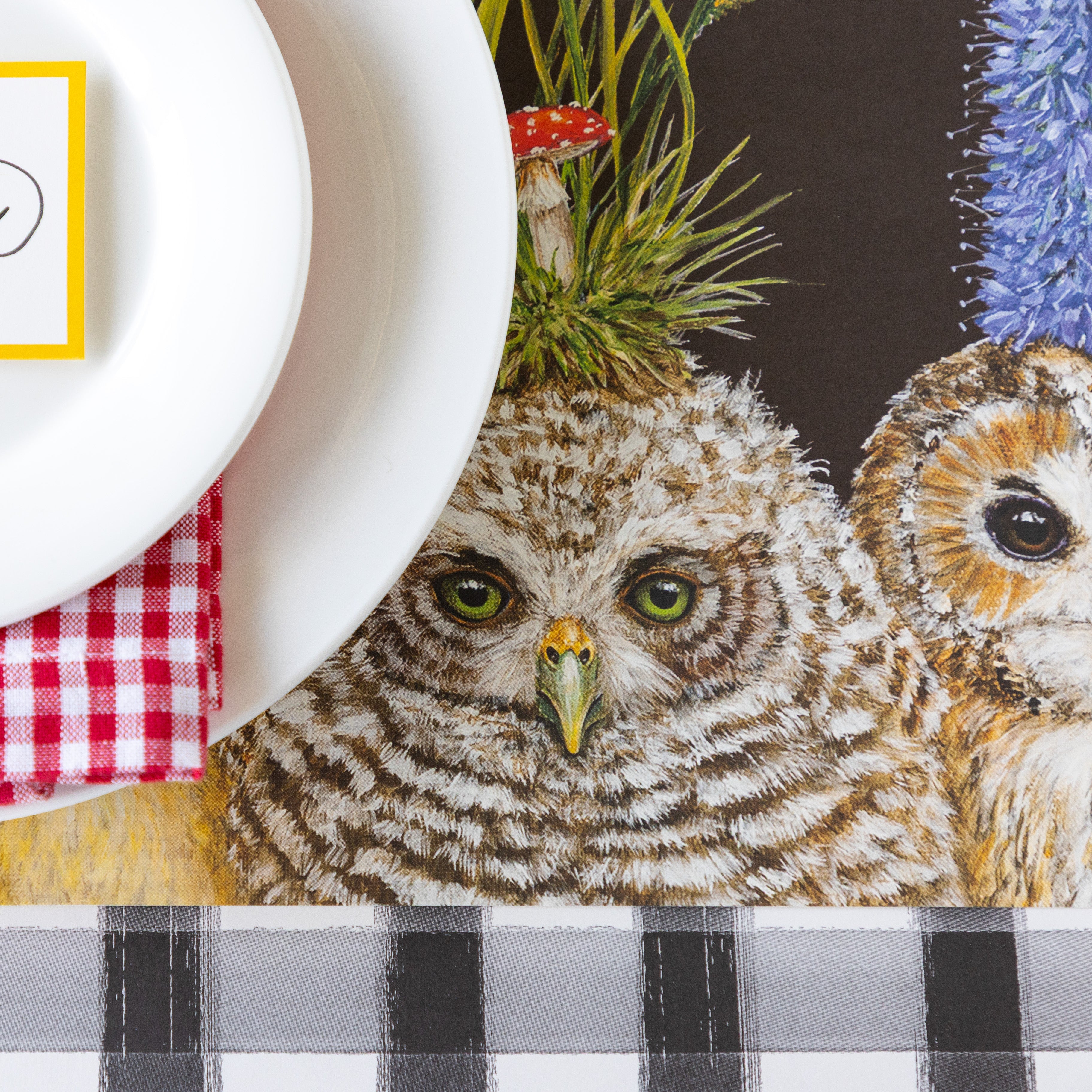 Baby Owls Placemat – Hester & Cook