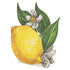 An illustration of a Lemon Place Card with leaves and flowers, perfect as a spring place card from Hester & Cook.