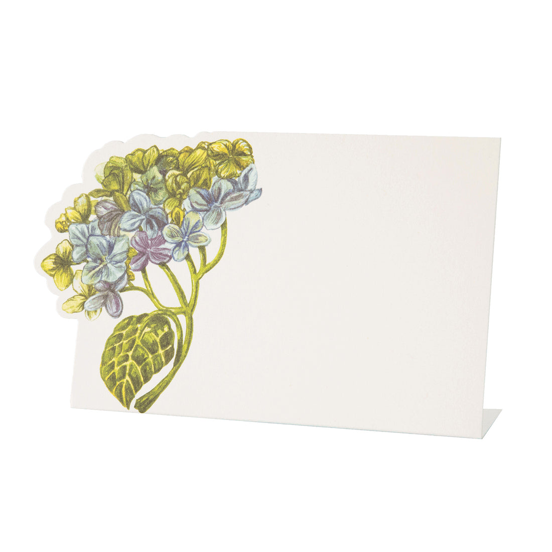 Hester &amp; Cook Hydrangea place cards are an elegant addition to any event. These unique place cards feature multicolored blooms, adding a touch of natural beauty to your table setting.