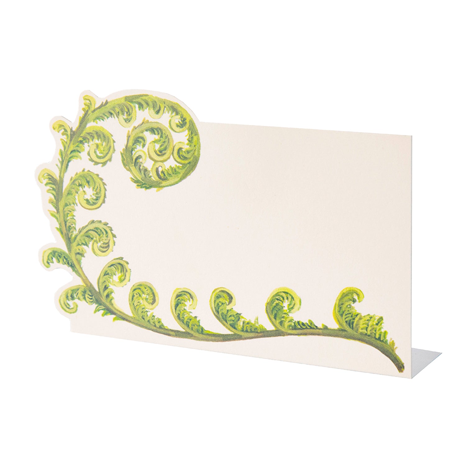 A Hester &amp; Cook Fiddlehead Fern Place Card with writing space.