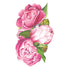 A watercolor painting of pink peonies on a white background, perfect as Hester & Cook Peony Table Accents for a party.