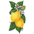 Two Hester & Cook Lemon Table Accents with leaves and flowers as a table accent on a white background, radiating freshness.