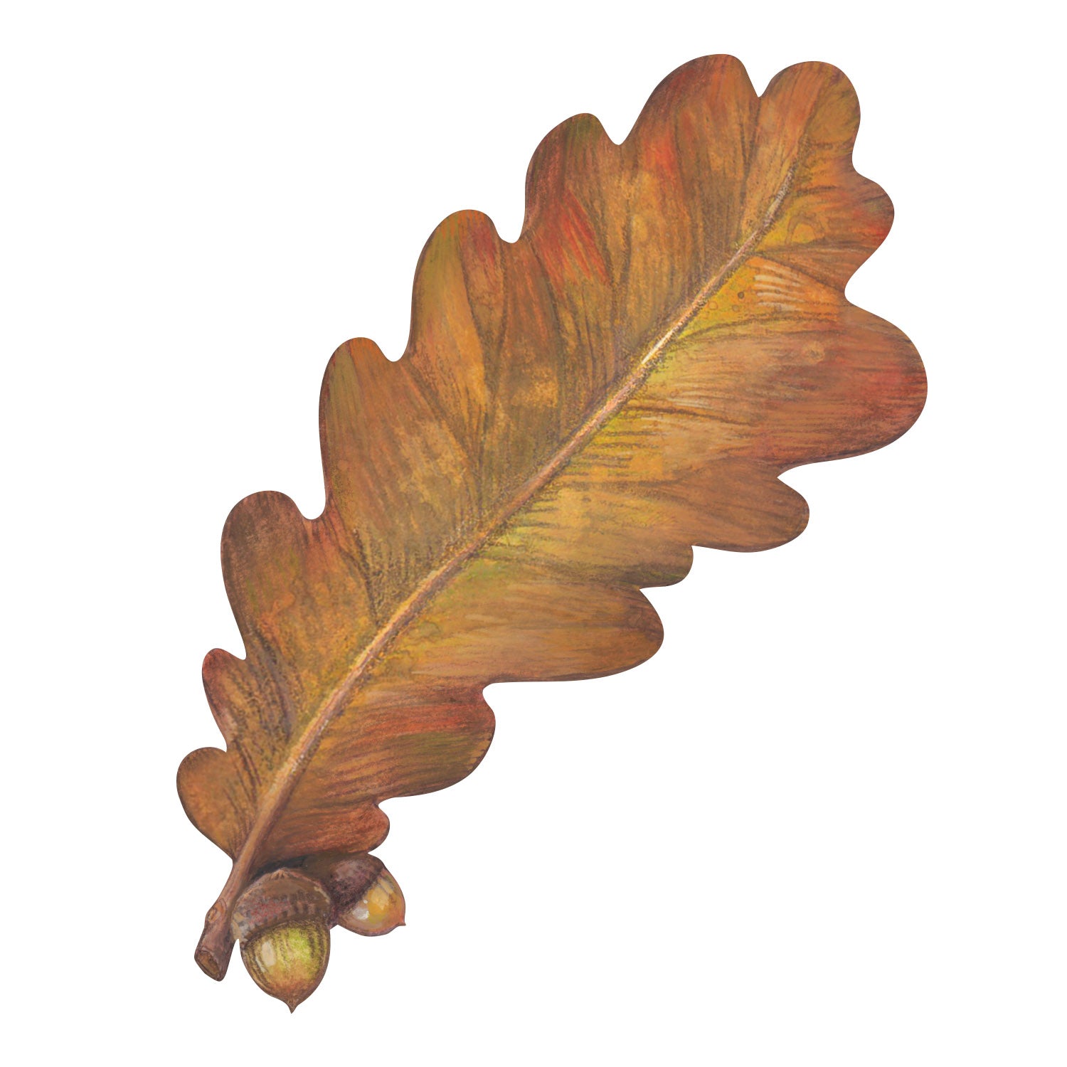 A die-cut illustration of a vibrant, orangey-brown oak leaf with two acorns attached at the stem. 