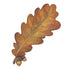 A die-cut illustration of a vibrant, orangey-brown oak leaf with two acorns attached at the stem. 