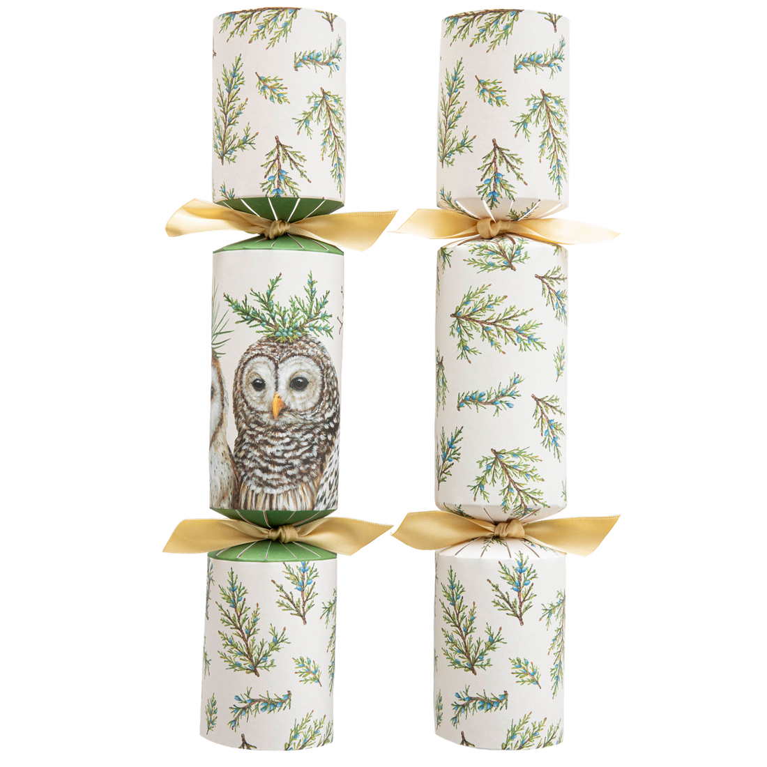 Winter Owls Crackers