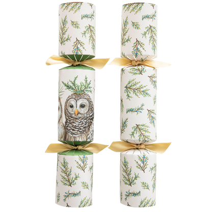 Winter Owls Crackers