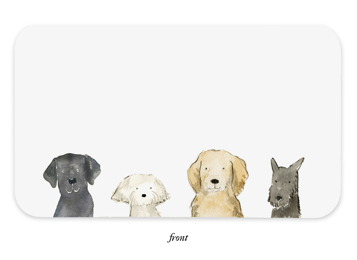 A box of E. Frances Dog Days Little Notes® with illustrations of dogs on it.