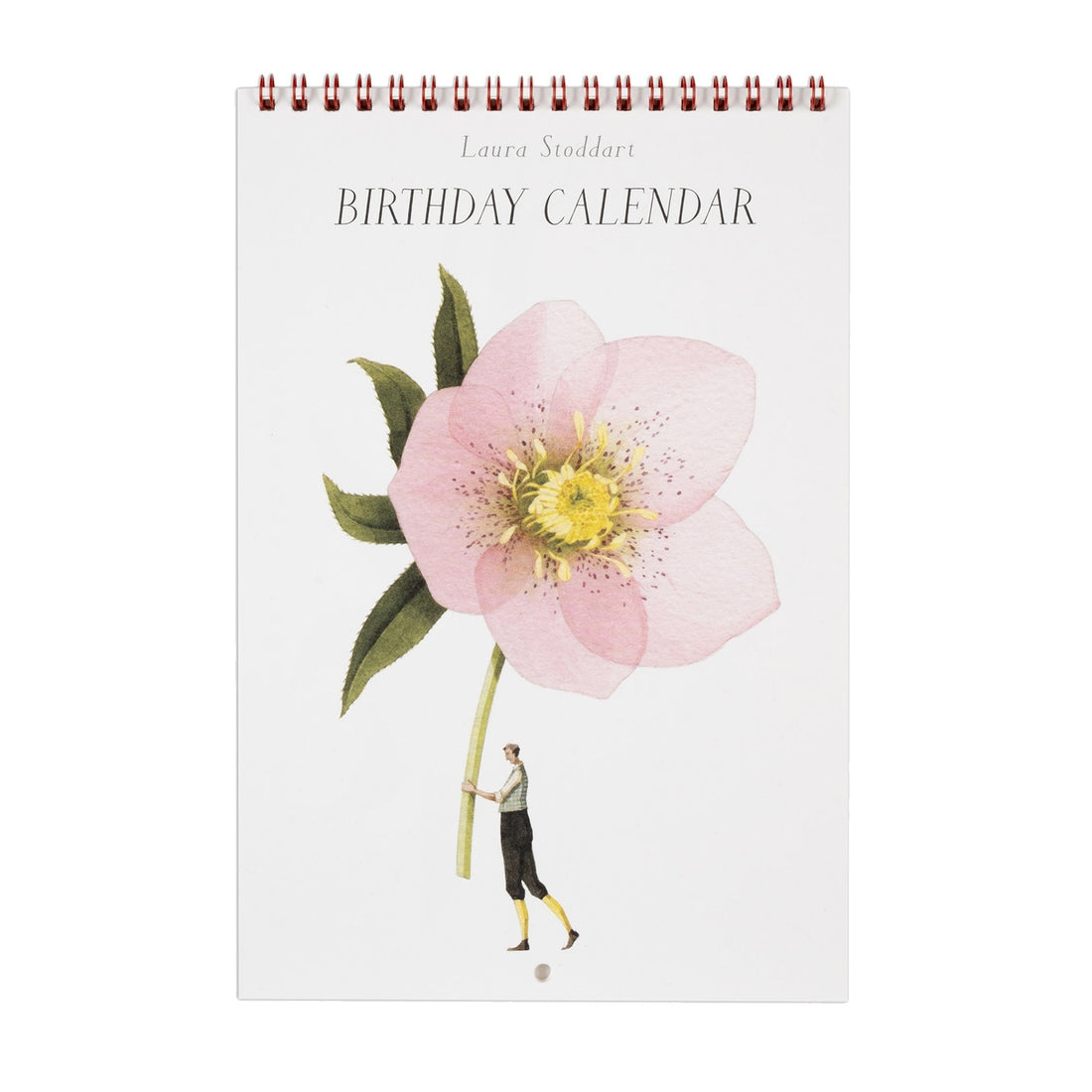 The front cover of the Laura Stoddart Birthday Calendar is bound in red wire, and features an illustration of a man holding a gigantic pink bloom by the stem. 