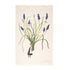 Illustration of a person holding a large bundle of blue flowers on a beige background.