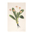 Illustration of a person holding a large flower with green leaves and pink flowers on a beige background.
