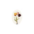 Hester & Cook Tulips in a vase on a white background, accompanied by elegant Tulips Gift Tags.