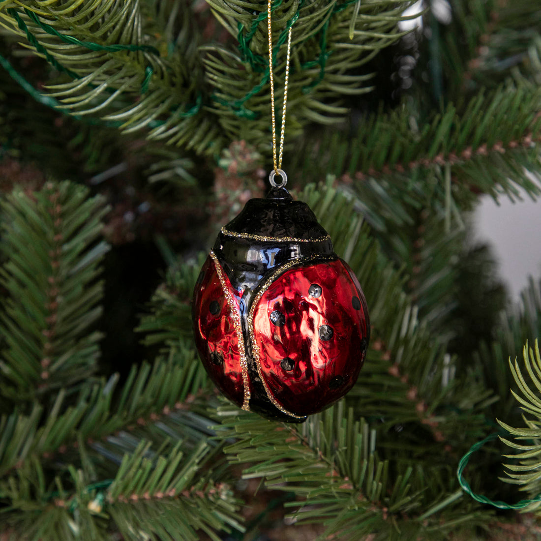 The Glass Ladybug ornament hanging on a tree.