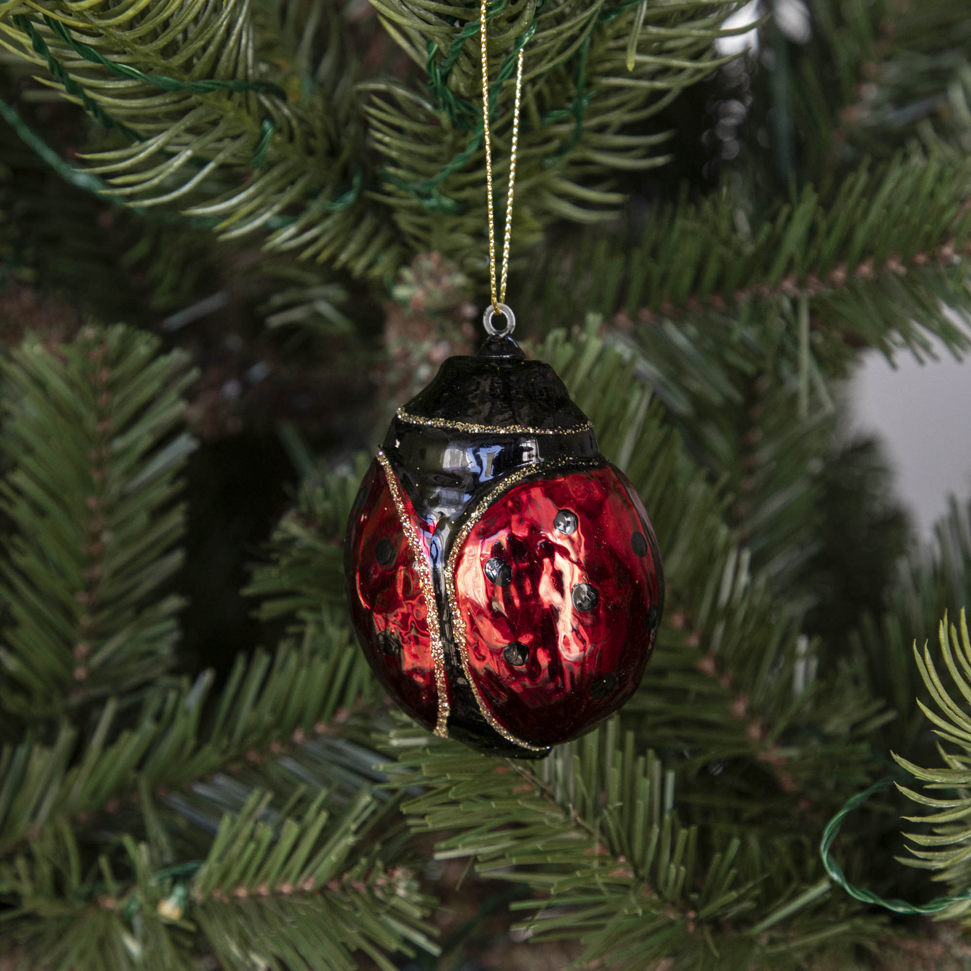 The Glass Ladybug ornament hanging on a tree.