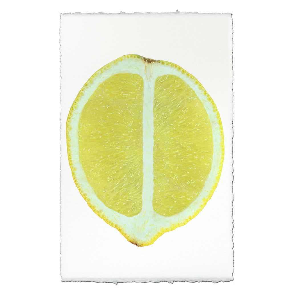Half Lemon Art Print