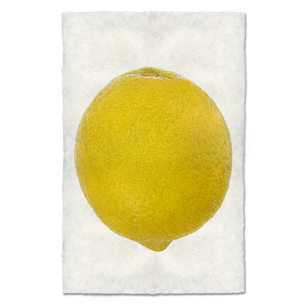 Lemon Art Print