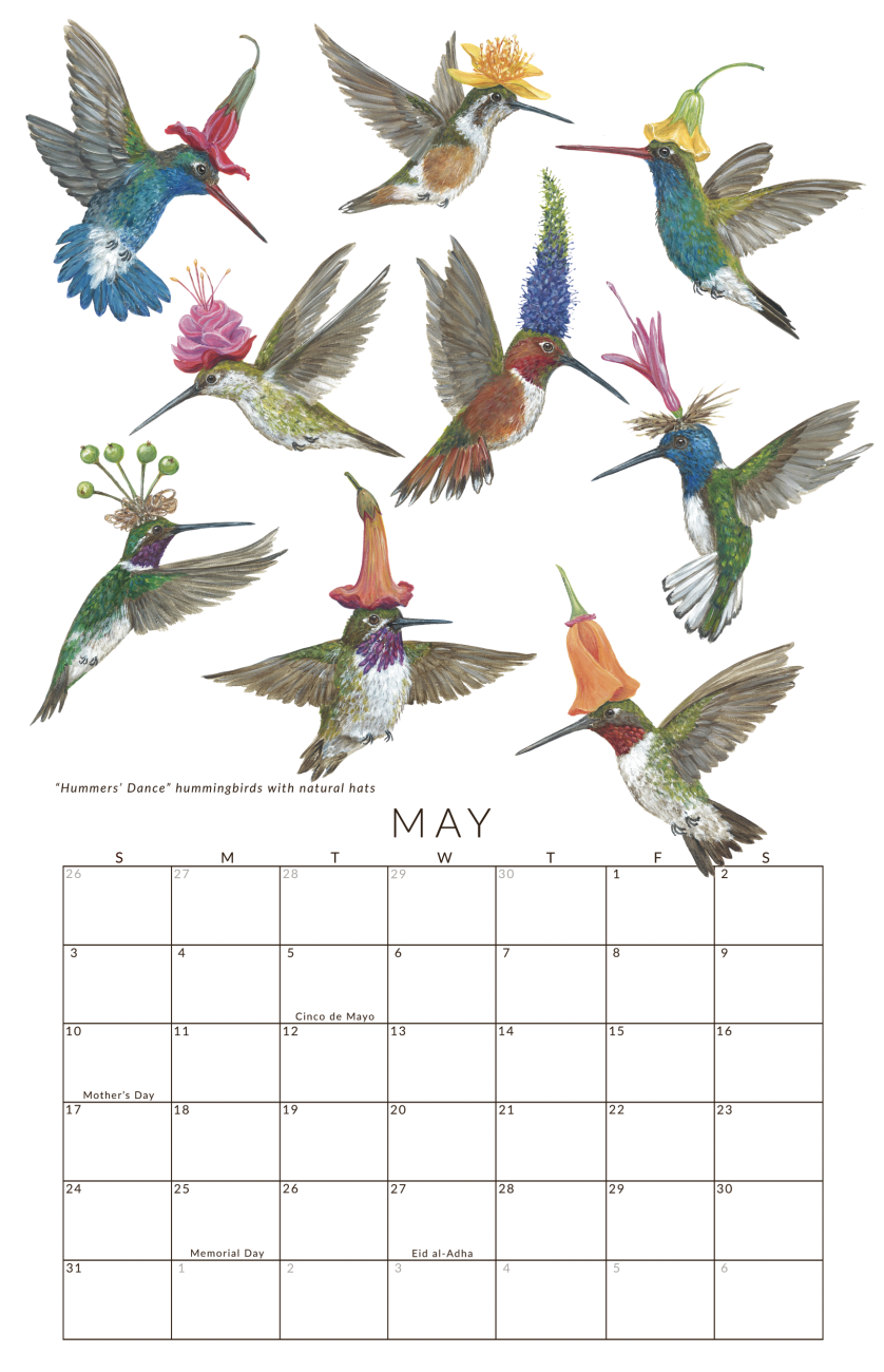 May calendar page with colorful hummingbird illustrations and a grid layout.