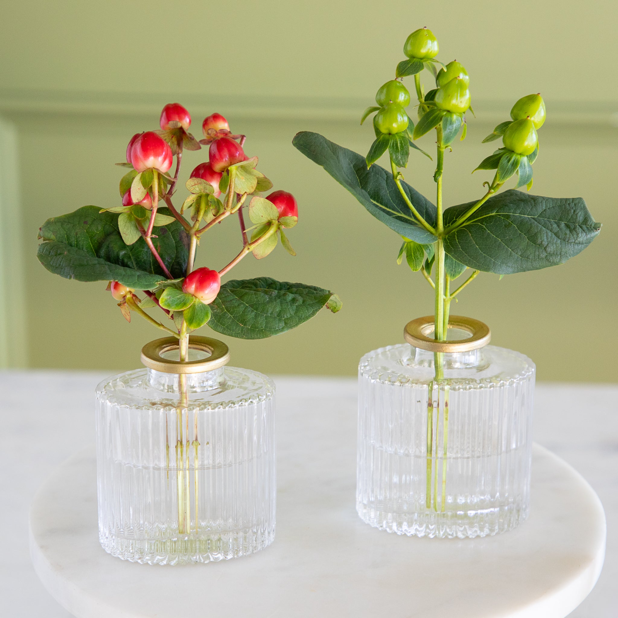 Two small glass vases with ribbed design containing plants on a white surface with a light green background.