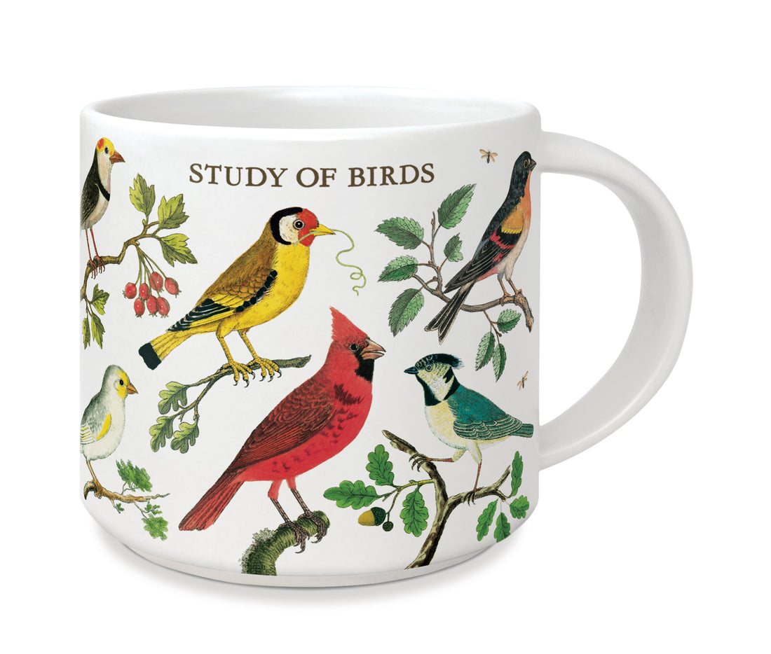 Study of Cavallini Papers &amp; Co Birds Ceramic Mug.