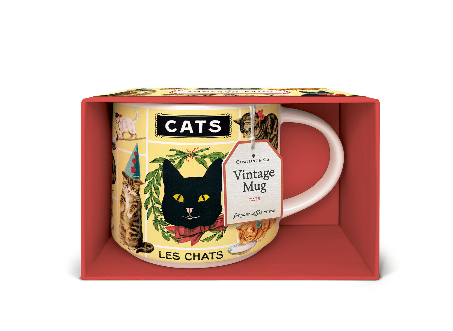 Cat-themed mug in an open decorative box on a white background.