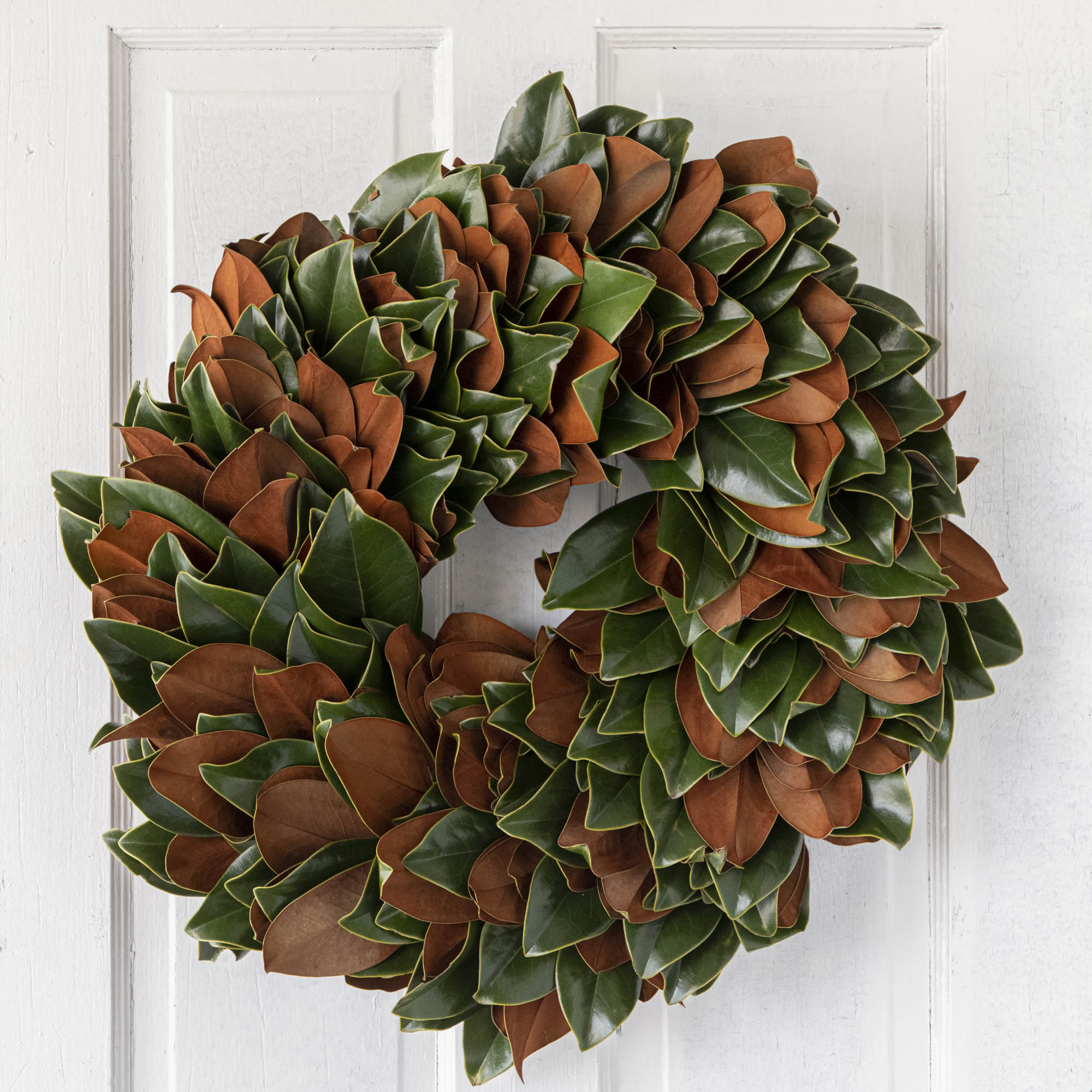 A fresh Magnolia wreath hanging on a door.