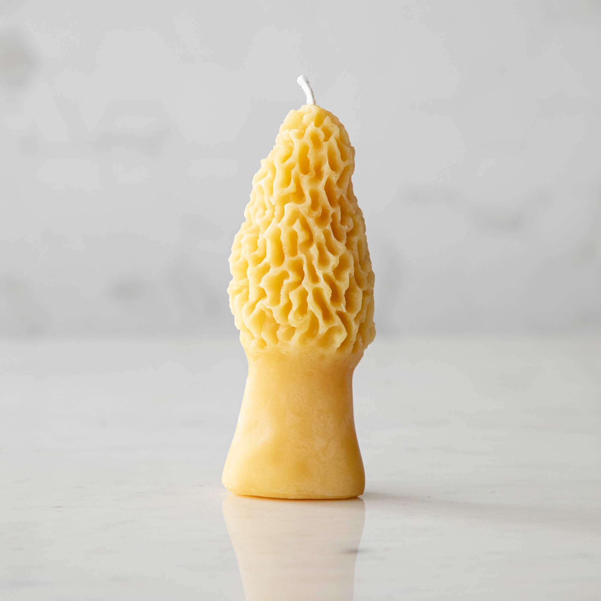 Morel Mushroom Beeswax Candles