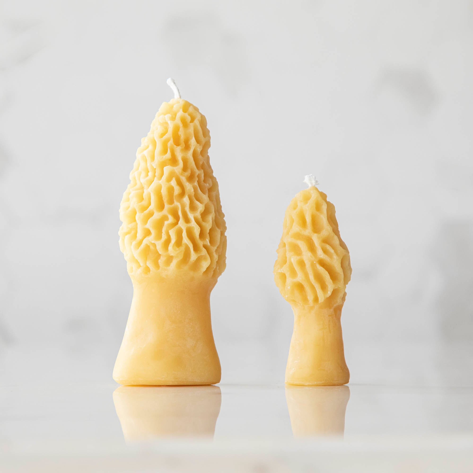 Morel Mushroom Beeswax Candles