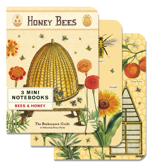 Bees & Honey 3 Mini Notebooks