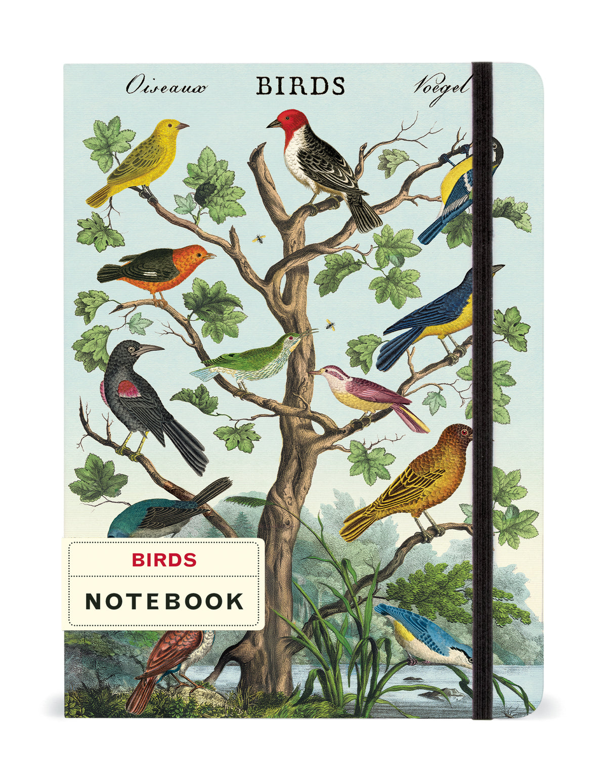 Birder Notebook Birds Notebook – Hester & Cook