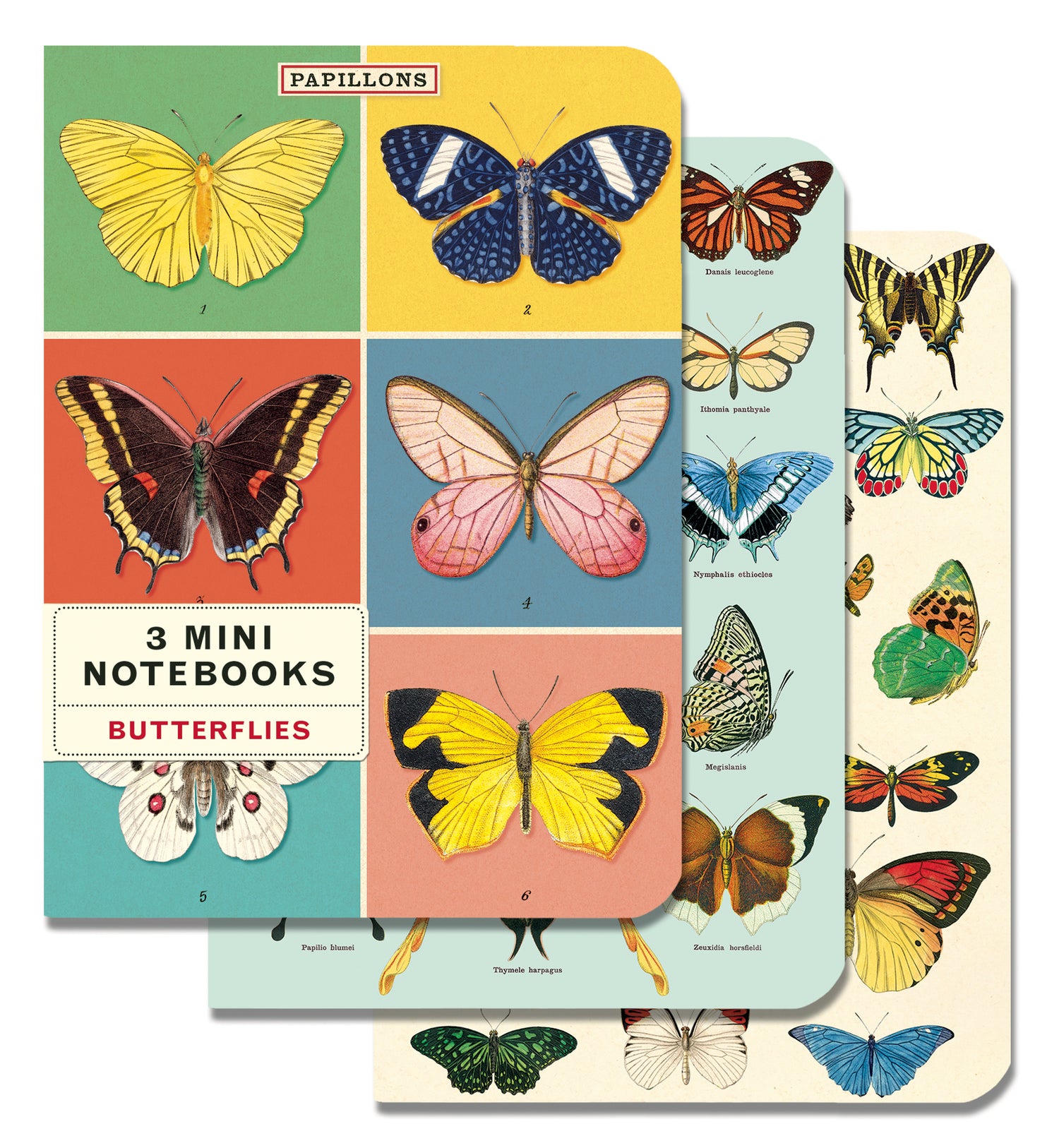 A vintage set of Butterflies 3 Mini Notebooks adorned with beautiful butterflies, by Cavallini Papers &amp; Co.