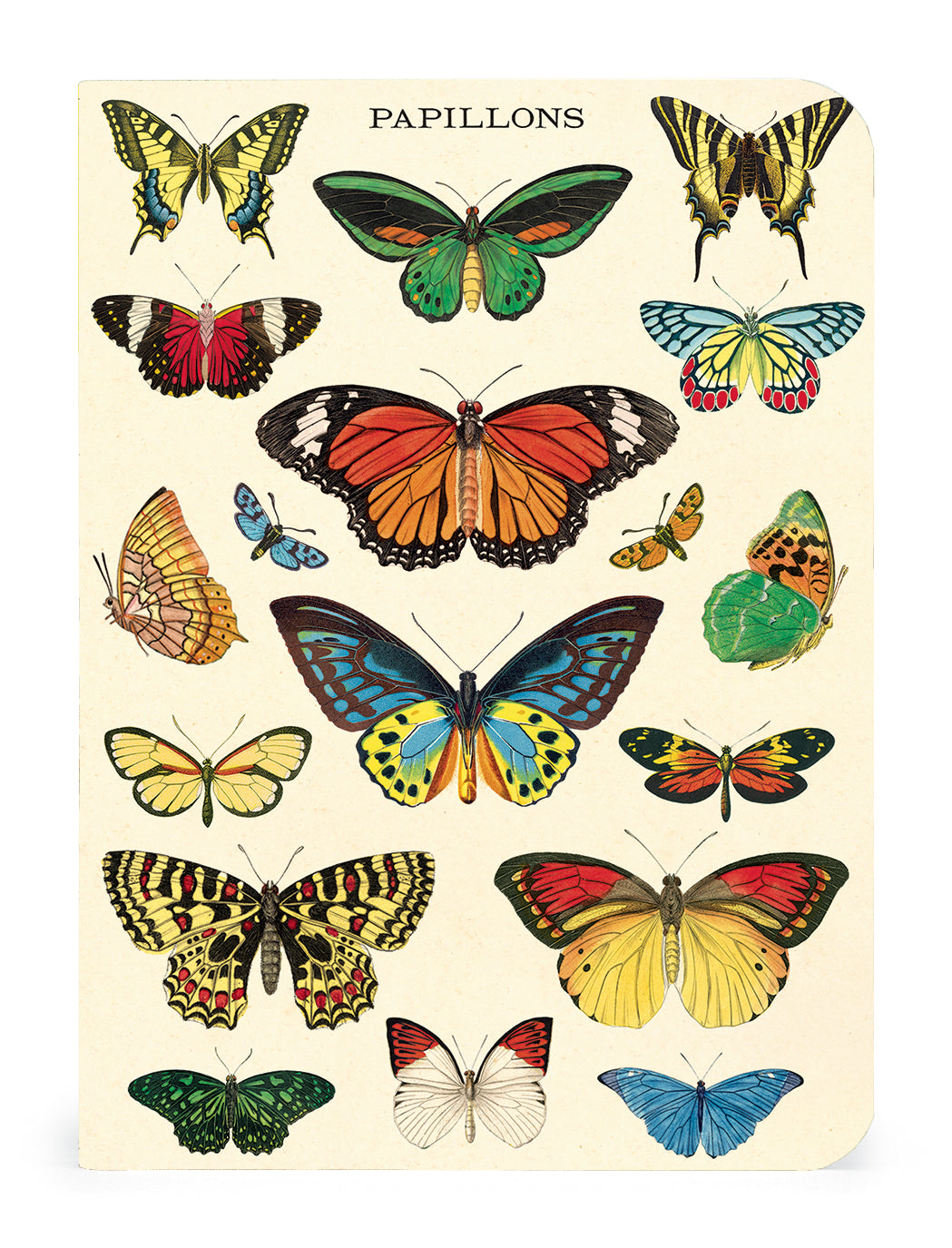 A Butterflies 3 Mini Notebooks set featuring vintage artwork of butterflies by Cavallini Papers &amp; Co.